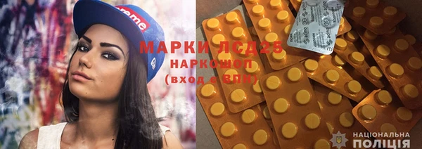 прущие грибы Арсеньев