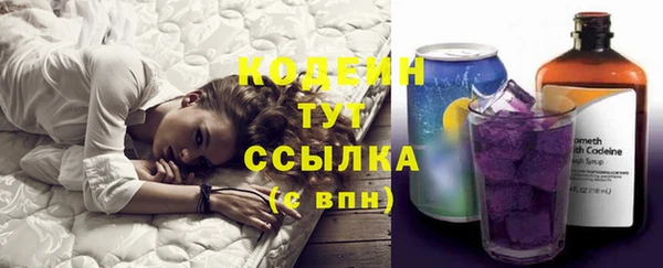 прущие грибы Арсеньев