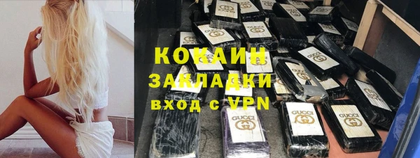 прущие грибы Арсеньев