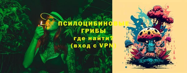 дурь Балахна